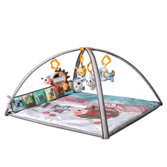 <tc>Tapis d’éveil bébé avec arche de jeux – TM263</tc>